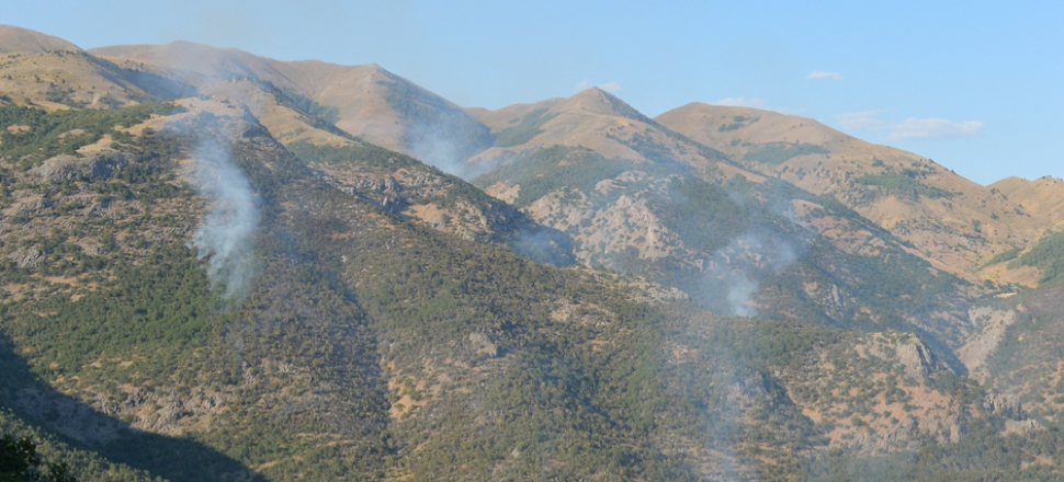 Sosyal medyada Dersim provokasyonu...