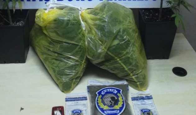 Cezaevi firarisi uyuşturucu bahçesinde yakalandı!