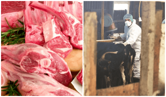Biri şu kırmızı et baronlarını durdursun!