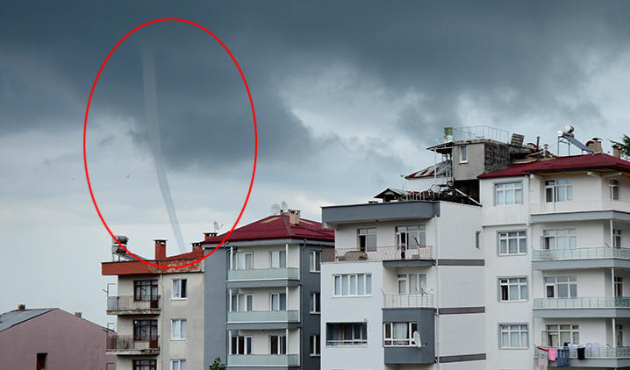 Bir anda ortaya çıktı! Paniğe sebep oldu