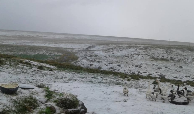 Erzurum ve Ardahan'a yılın ilk karı yağdı!