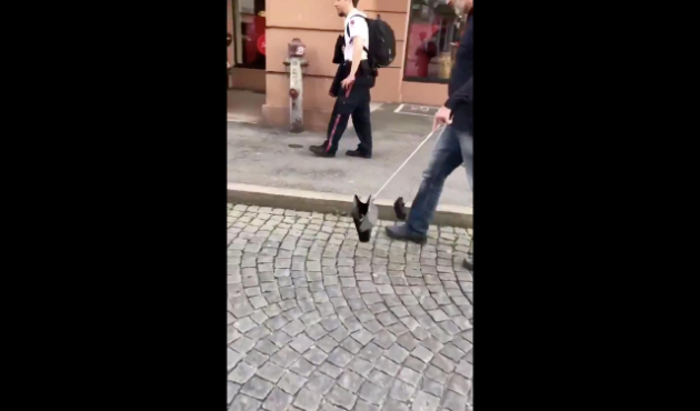 Yere atılan izmaritler böyle toplanıyormuş!