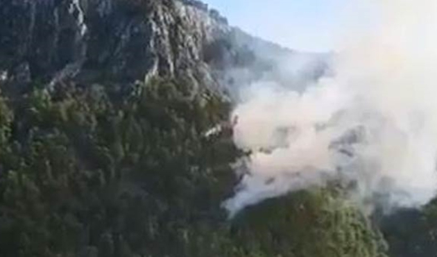 Antalya'da orman yangını!