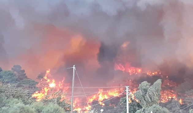 Antalya'daki yangının dehşete düşüren görüntüleri!