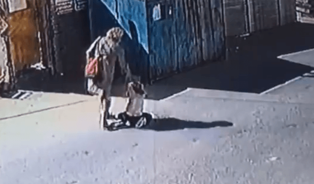 Cani annenin kızına yaptıkları yürekleri sızlattı!
