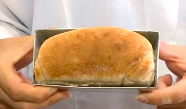 Hamam böceği unundan ekmek yaptılar...