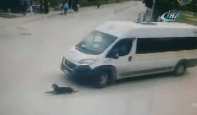 Yolda uyuyan köpeği ezip arkasına bakmadan gitti!
