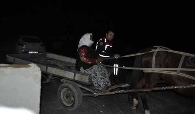 At arabasıyla gözaltına alındı! Görenler inanamadı