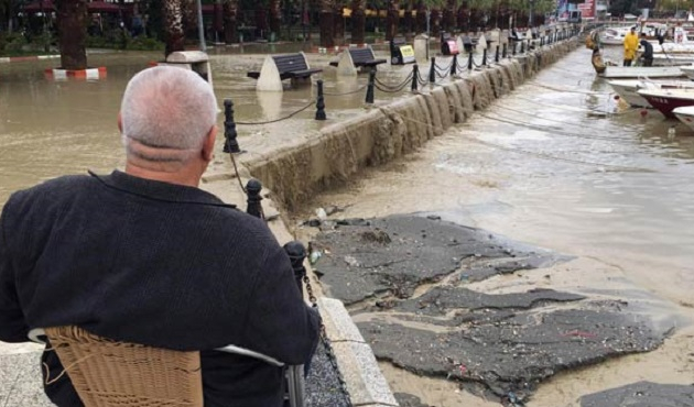 Sabah uyandı, şaşkınlıkla oturdu kaldı!