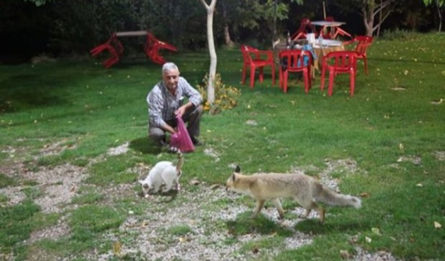 Tunceli'de hayvan lokantası görenleri şaşırtıyor!