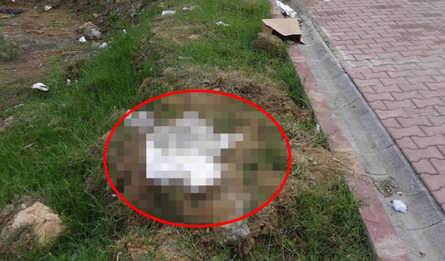 Oyun oynayan çocuklar korkunç gerçekle karşılaştı!