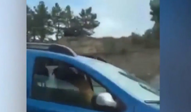 Seyir halindeki otomobilde ilişkiye girdiler!