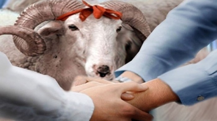 Kurban Bayramı tatili 9 gün oldu! İşte son kurbanlık fiyatları
