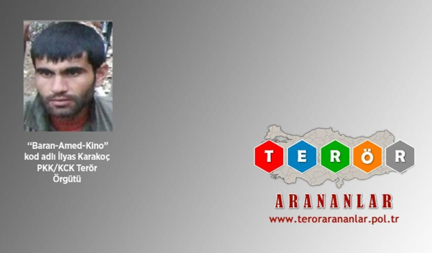 PKK'nın bir sözde yöneticisi daha öldürüldü...