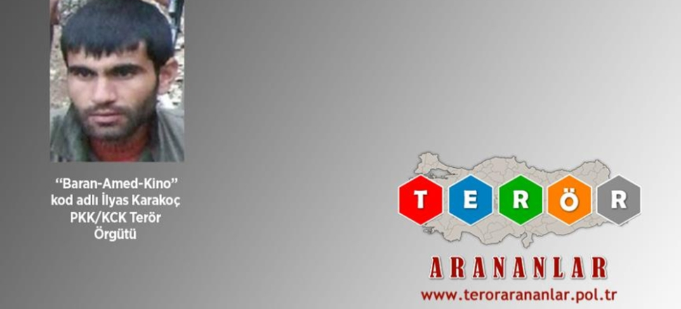PKK'nın bir sözde yöneticisi daha öldürüldü...