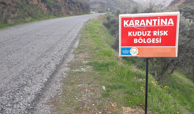 Balıkesir'de kuduz karantinası...