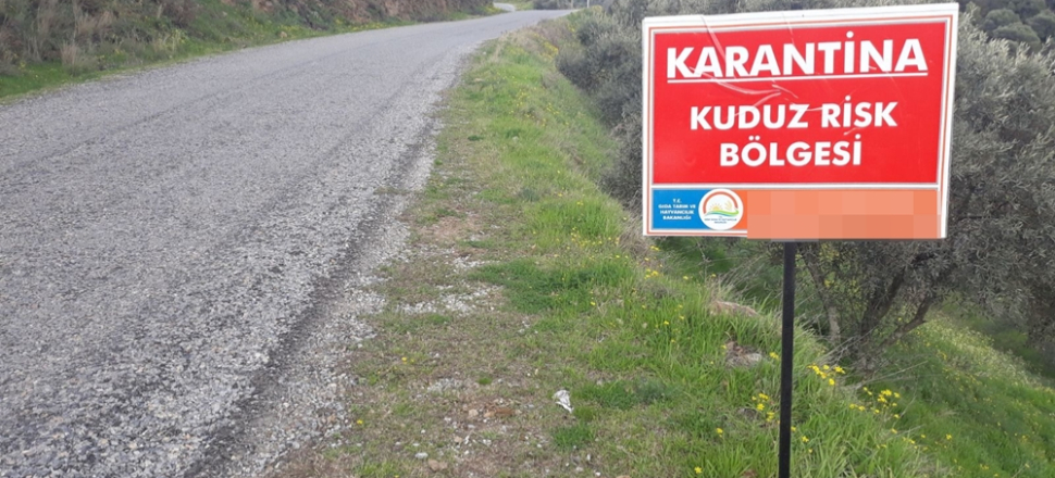 Balıkesir'de kuduz karantinası...