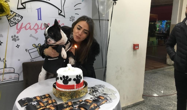 Köpeği için doğum günü partisi düzenledi...