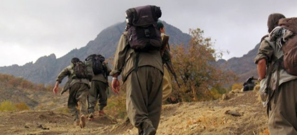 "Kobani için toplanan paralar PKK'ya verildi"