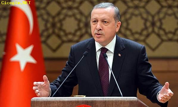 Cumhurbaşkanı Erdoğan'ın da çağrıda bulunduğu fikir: Terörden bir ısırık almak!