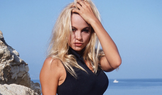 Pamela Anderson Wikileaks krizine karıştı!