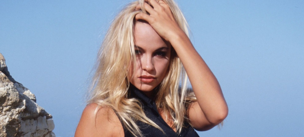 Pamela Anderson Wikileaks krizine karıştı!