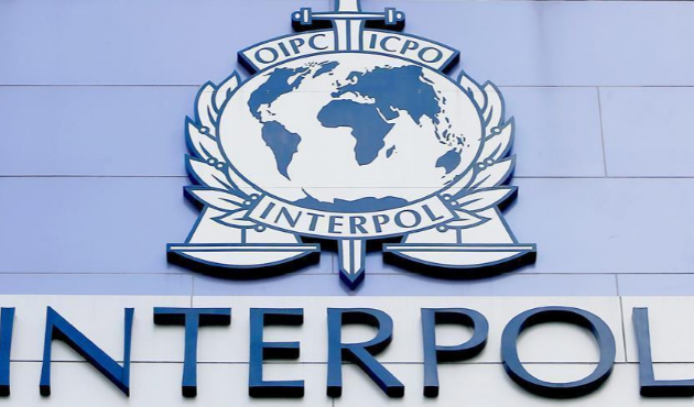 Interpol'ün yeni başkanı belli oldu!