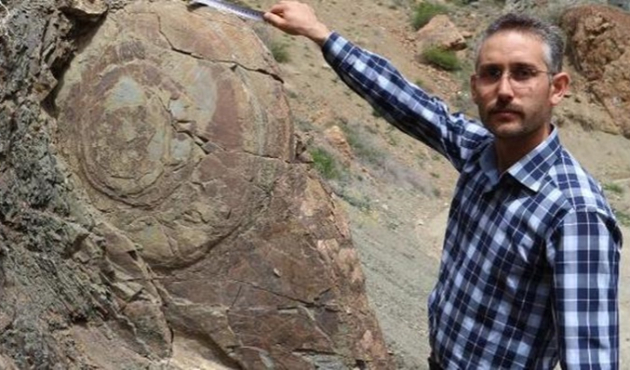 70 milyon yılık deniz salyangozu bulundu!