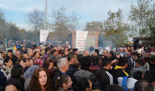 Tekirdağ'da balık ekmek izdihamı...