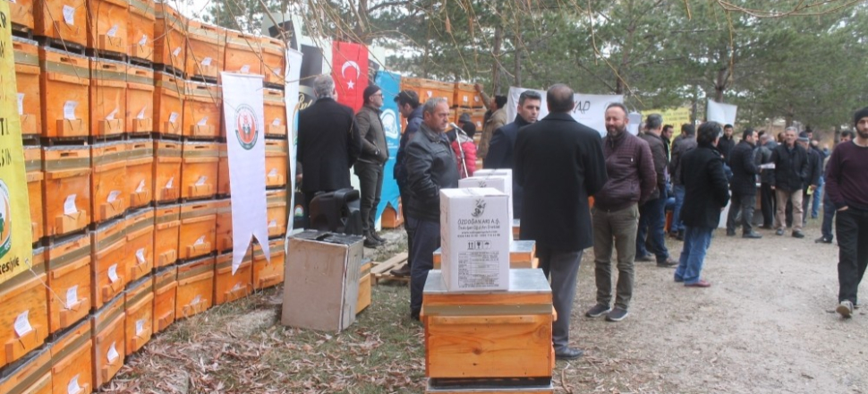 Bayburtlu arıcıya dev kovan desteği