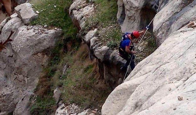 Mahsur kalan keçi, AFAD ekiplerince kurtarıldı