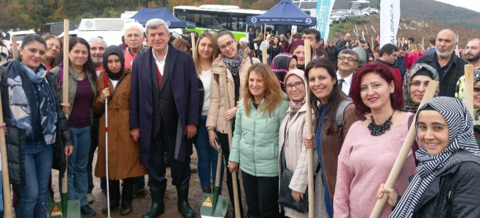 Kocaeli'de Kartepeli minikler fidan dikti