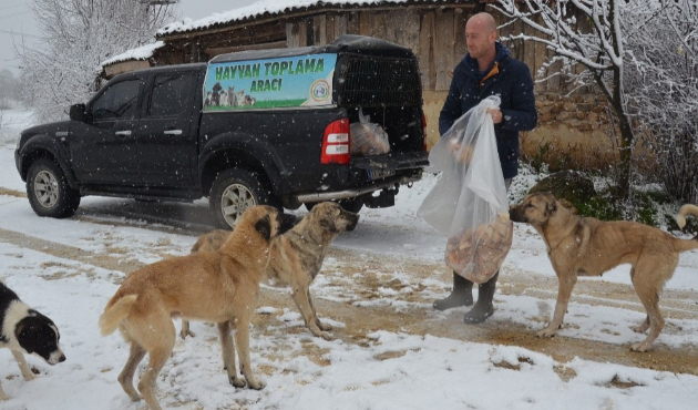 Bilecik'te kırsaldaki sahipsiz sokak hayvanlar unutulmadı