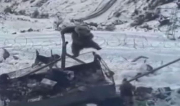 Kato Dağı'nda aç kalan ayı Mehmetçik'e sığındı!