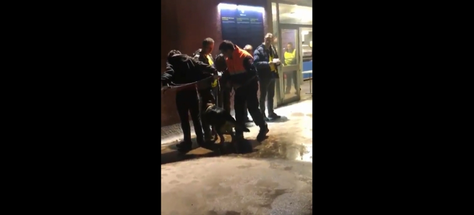 İspanya'da Fenerbahçe taraftarına çirkin muamele!