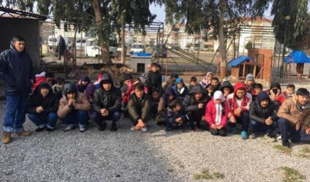 Balıkesir Ayvalık'ta 50 kaçak yakalandı!