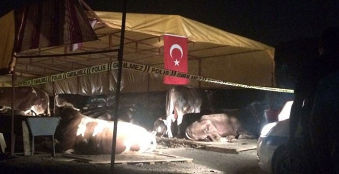 İzmir'de kurban kavgası: 3 ölü