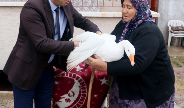 Hindileri çalınan Fadik Teyze’ye hayvan desteği