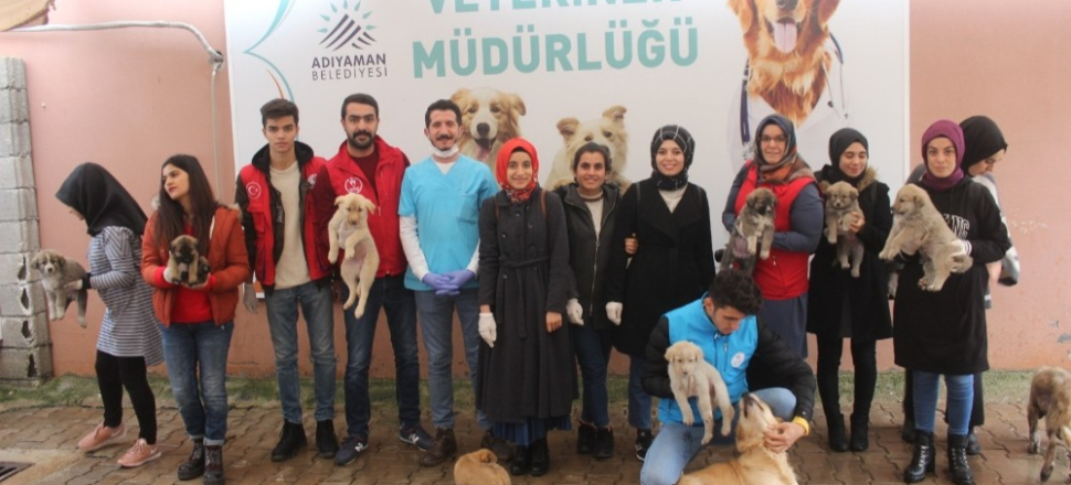 Gençlerin ‘iyilik ağacı’ büyüyor