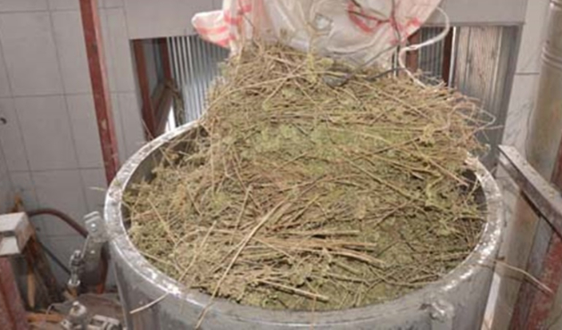 8 kilosundan sadece 100 gram çıkıyor!