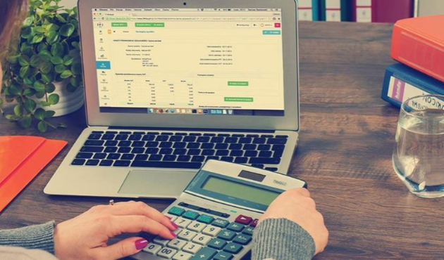 Kasım’da en çok DİBS kazandırdı, euro kaybettirdi