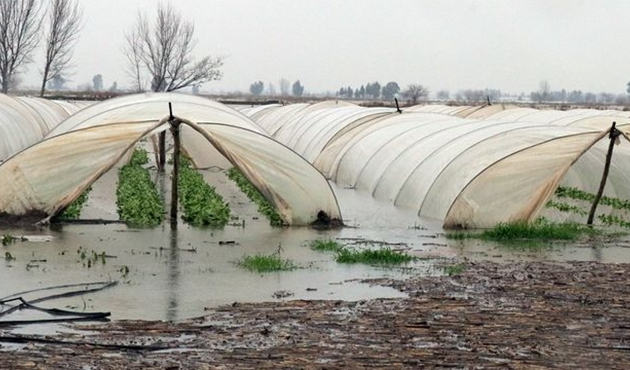 Mersin’de seralar sular altında kaldı
