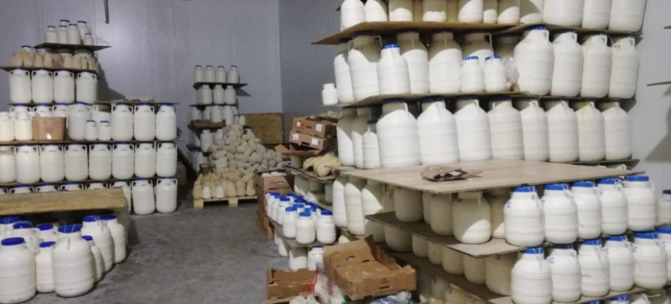 Erzincan tulum peynirinde kriz büyüyor