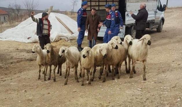 Yozgat’ta küçükbaş hayvan hırsızları tutuklandı