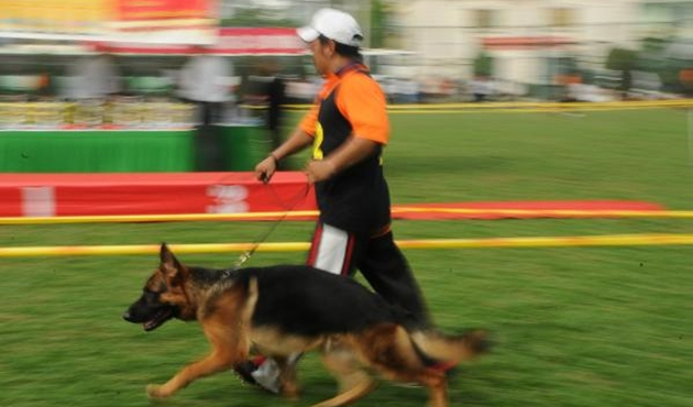 'Lina' uyuşturucu tacirlerine geçit vermiyor
