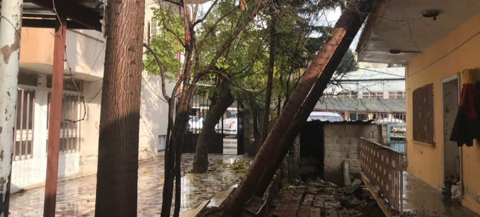 Adıyaman'da rüzgar ağaç ve duvarı yıktı