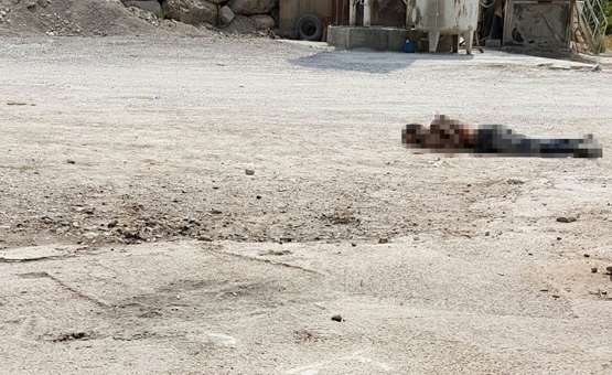 Teröristin üzerinden susturucu takılmış silah çıktı
