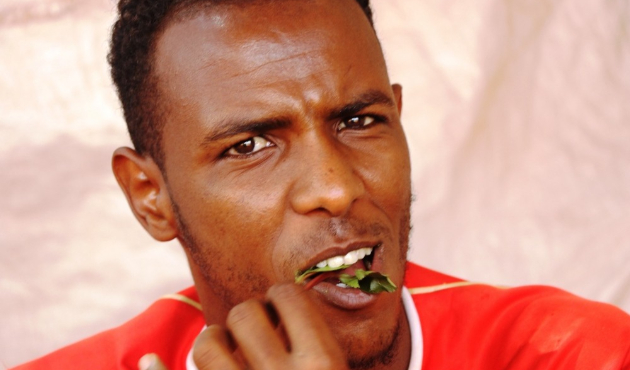Somali’nin yeşil zehri: Gat