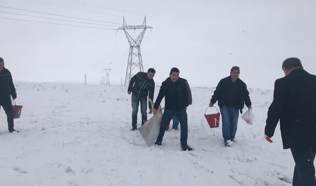 Kars’ta yaban hayvanlar için doğaya yem bırakıldı