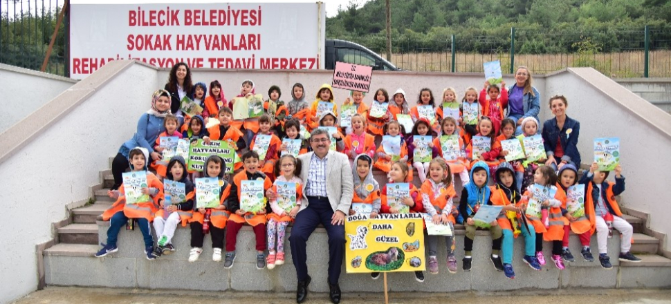 Bilecik Belediyesi sokak hayvanlarını unutmadı
